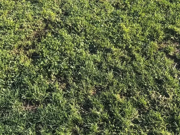 401 N Boudinot Ave, Dewey, OK 74029