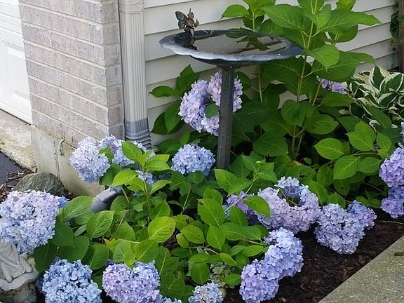 Soon the flowers will be popping up!!!