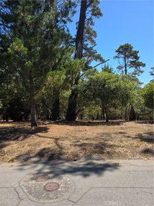 2418 Malvern St Lot 25, Cambria, CA, 93428