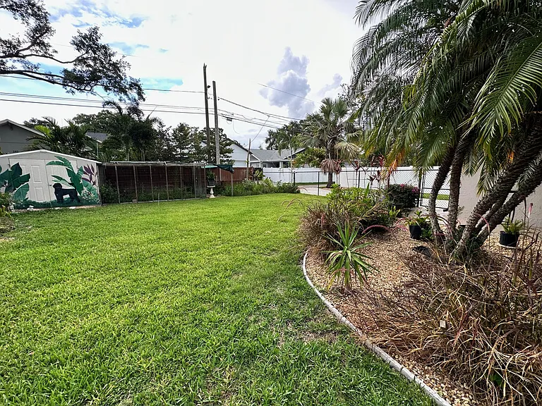 Backyard