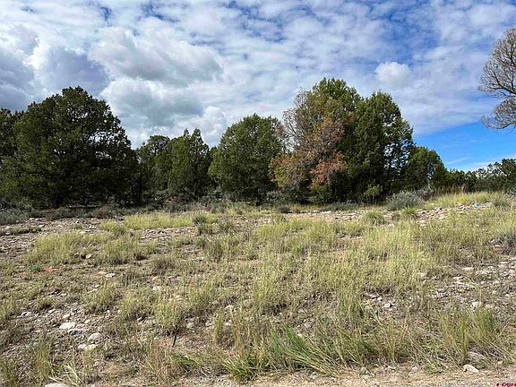 4th image of TBD W County Road 318 Highway