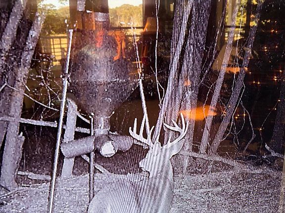 4th image of 50 Oakdale Church Rd