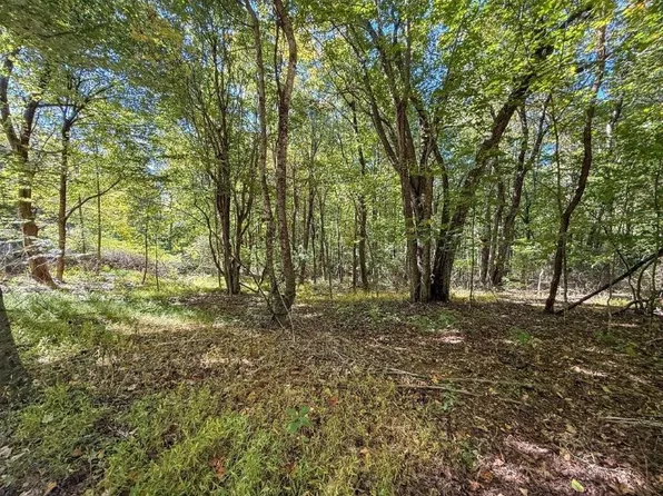 LOT 16 Glen Burn Ln, Meadows Of Dan, VA 24120
