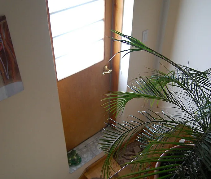3246 Cedar St #B — Photo 15