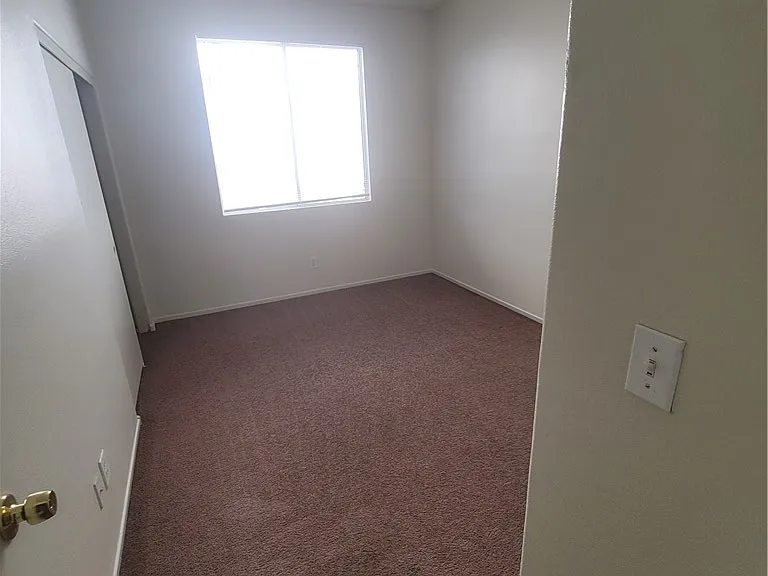 3119 Sentimental Ct — Photo 56