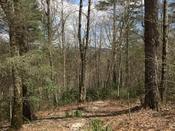 42 Tarragon Drive, Cashiers, NC 28717