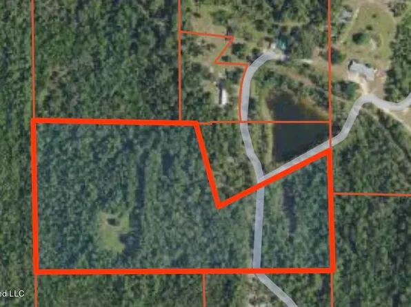 175/AC Burnis Havard Rd, Perkinston, MS 39573