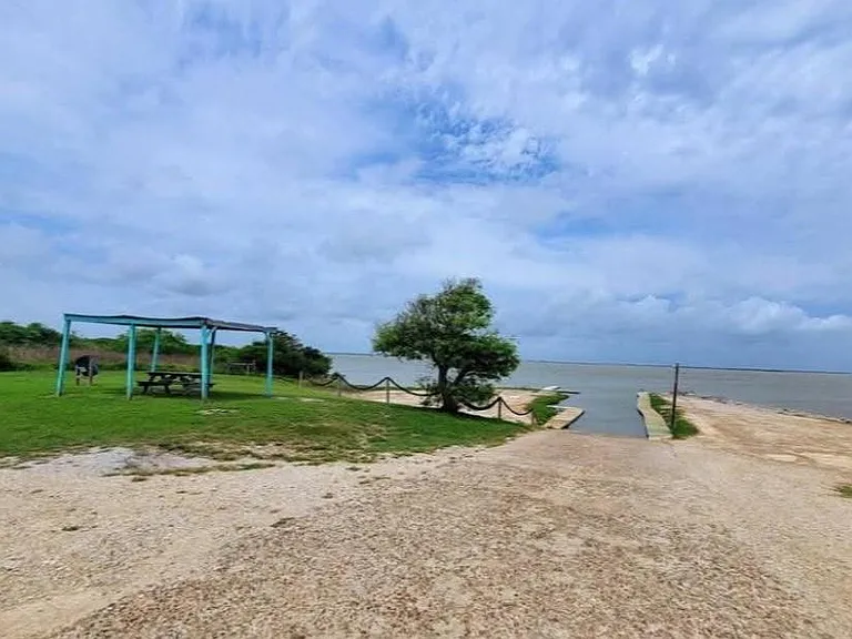 238 Ladyfish — Photo 17
