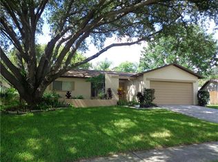 425 Bonnie View Dr, Valrico, FL 33594