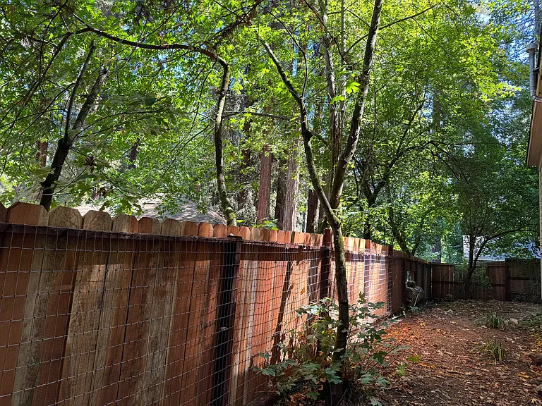 148 Sequoia Ave — Photo 10