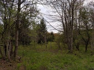 Balsam Tyler Road, McDonough, NY 13801