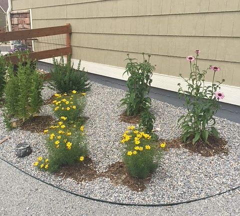 Professional Landscaping