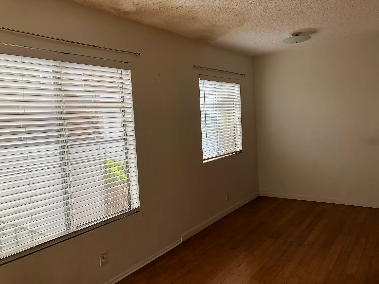 1 bed, 525 sqft, $2,675 — Photo 4