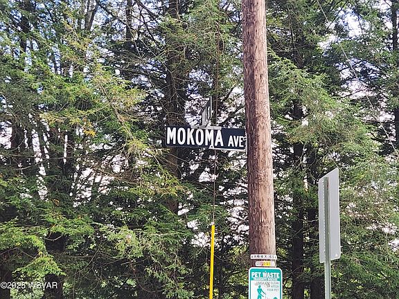 3rd image of 95 Mokoma Ave