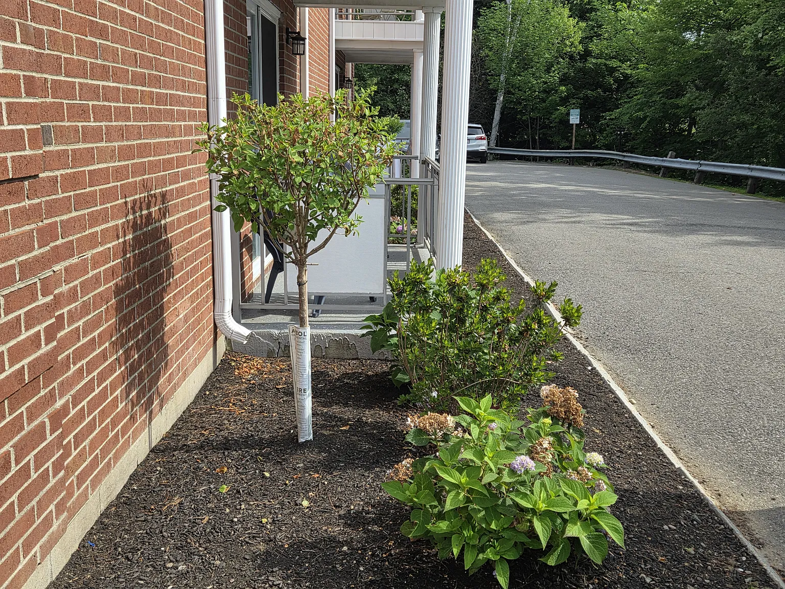 1000 Lexington Street — Photo 2