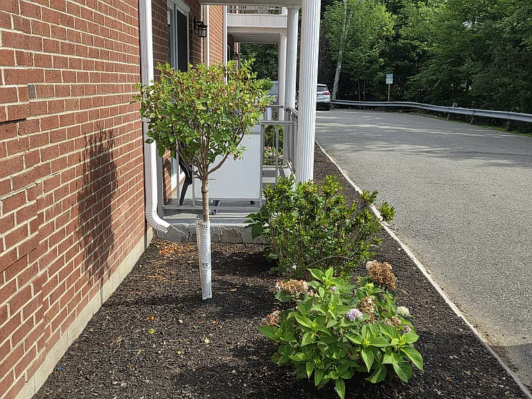 1000 Lexington Street — Photo 2