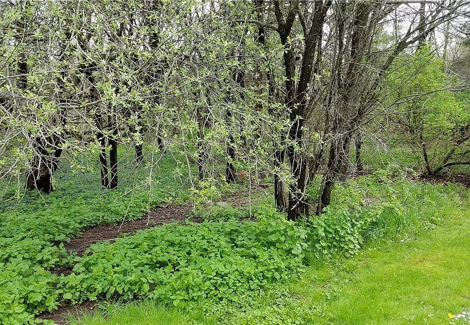 1st image of 1 Sims Ln Lot 1