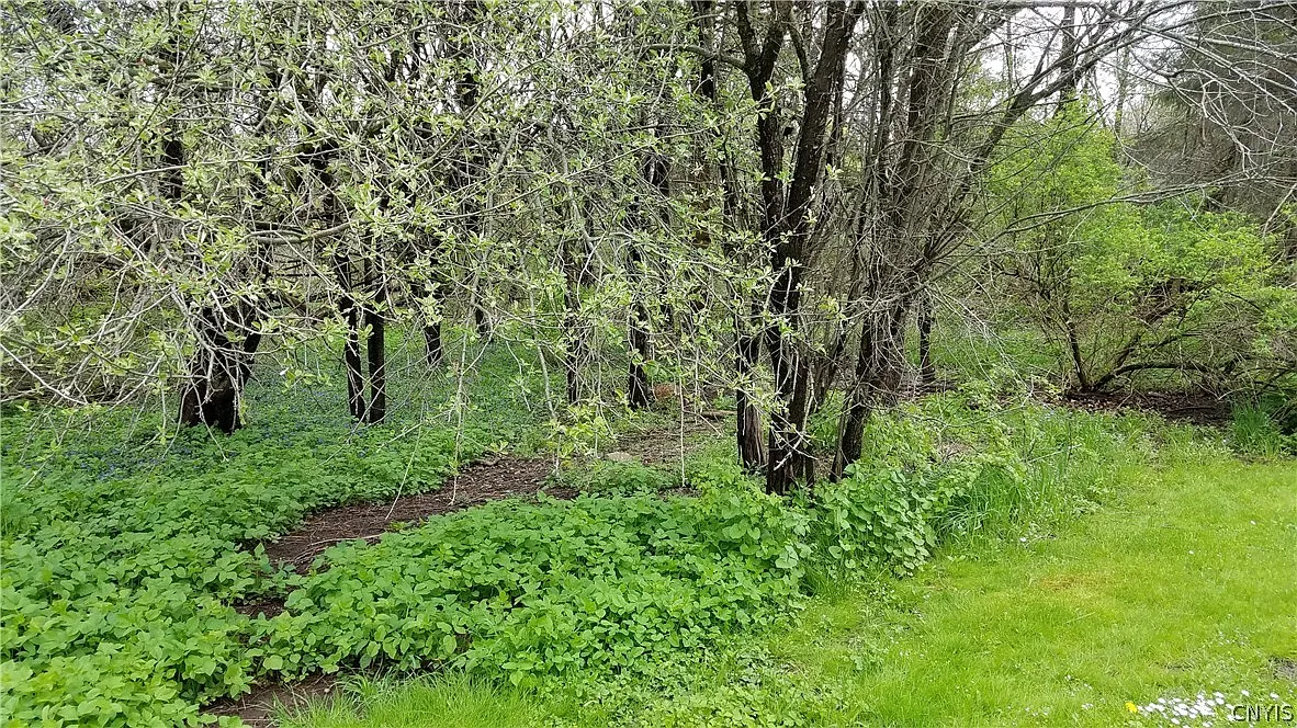 1 Sims Ln Lot 1 photo 1