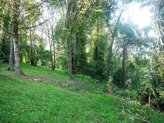 5th image of 56 Walnut St