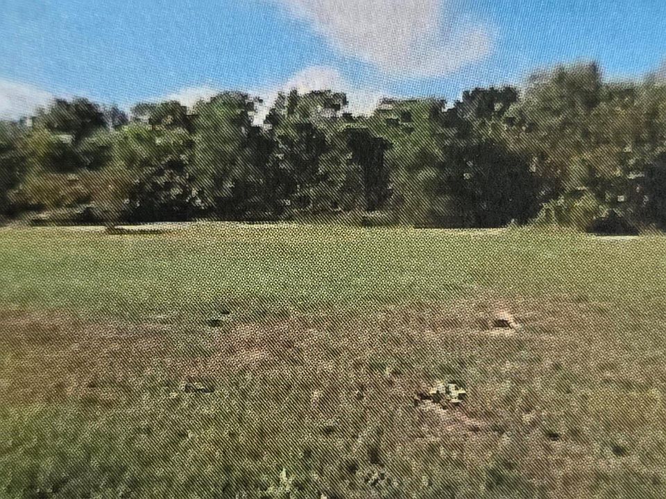 2nd image of Kimball Lot D