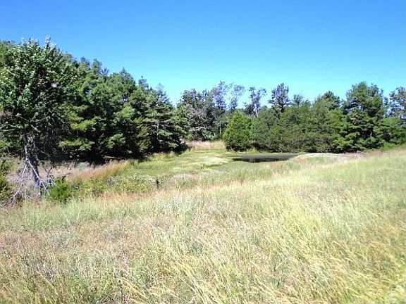 5th image of 1961 County Road 524