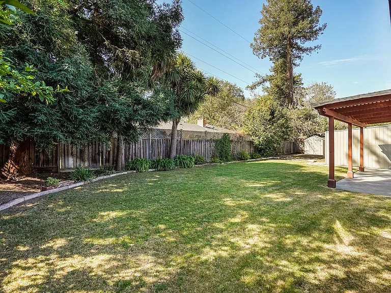 Backyard with citrus trees