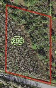 Luna Dr, Saint cloud, FL, 34771