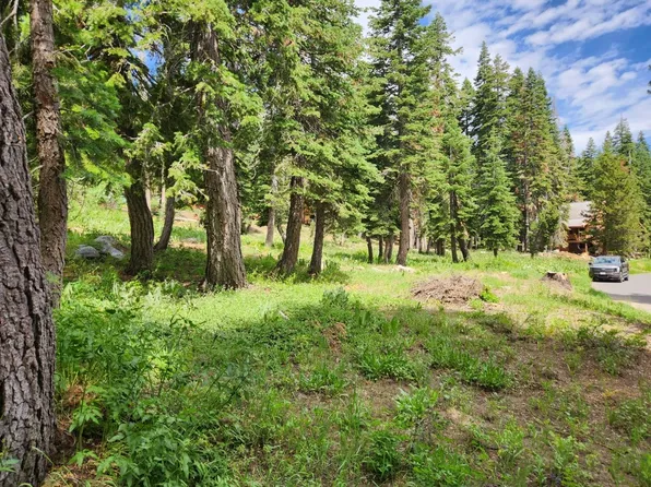282 John Ebbetts Rd, Bear Valley, CA 95223