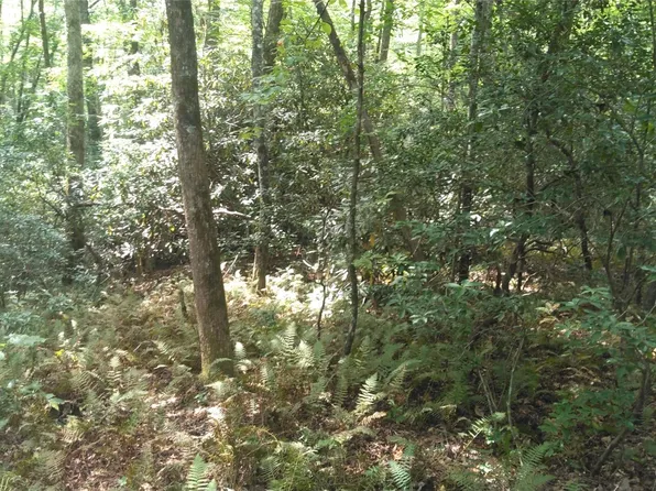 Lots 16 17 Chandler Dr, Old Fort, NC 28762
