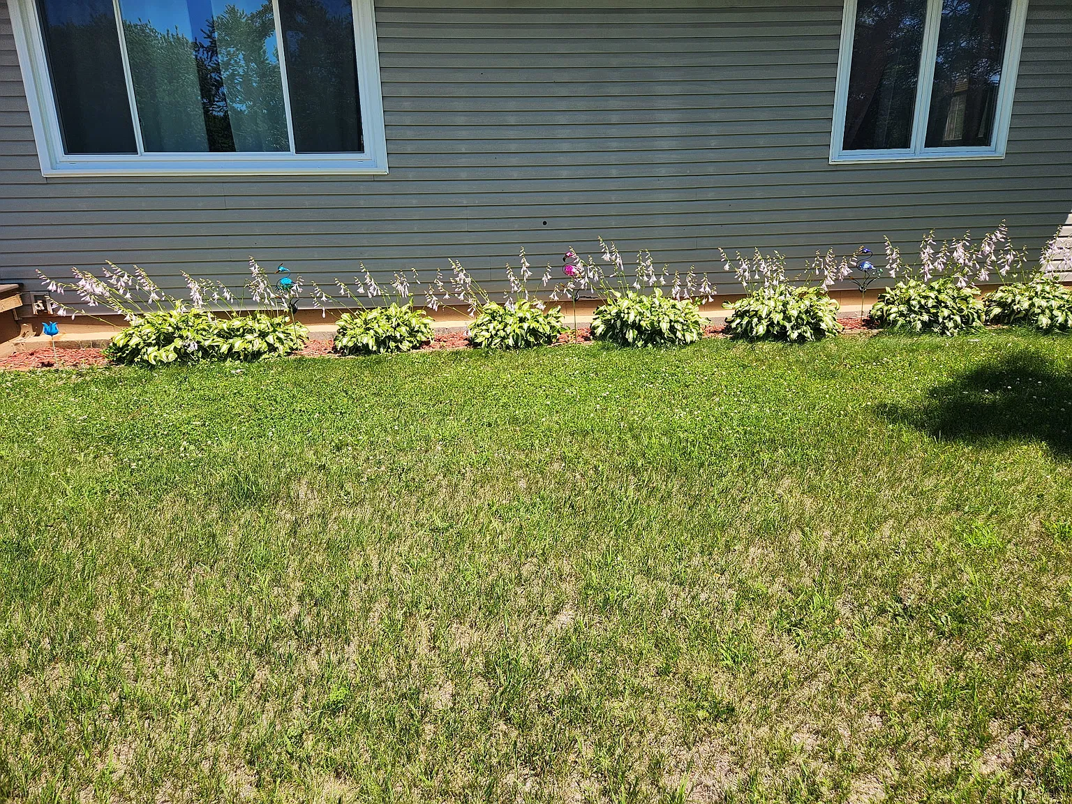 3 bed, 1564 sqft, $2,600 — Photo 4