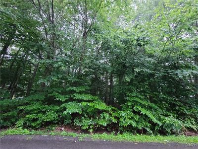 3347 Oberon Rd #1505/1506, Coolbaugh Township, PA, 18466
