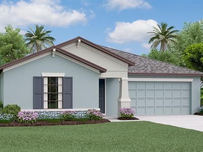 14321 Bounding Home St, Ruskin, FL, 33573