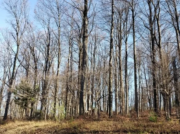 393 Sidney Rd, Franklin Twp., NJ 08801