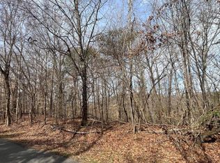 0 Mountain View Ln LOT 1101, White Pine, TN 37890