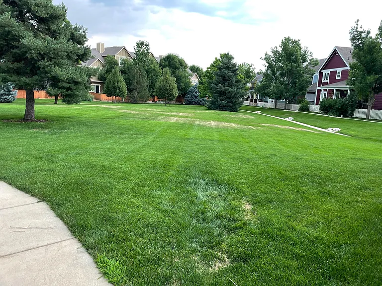 Common park