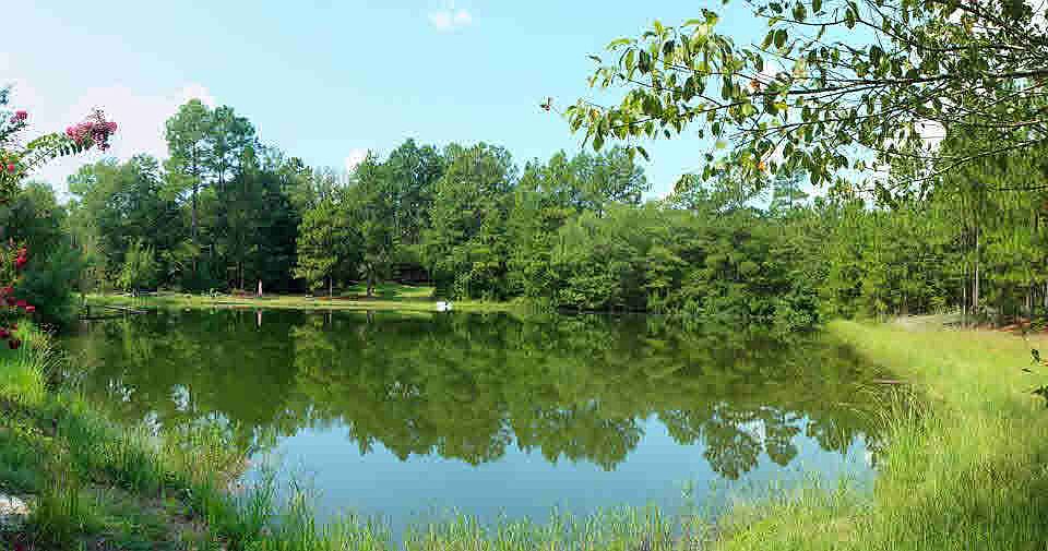 565 Pine Plain Rd, Gaston, SC 29053 Zillow