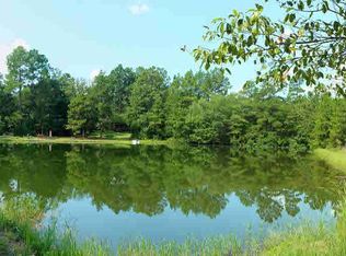 565 Pine Plain Rd, Gaston, SC 29053