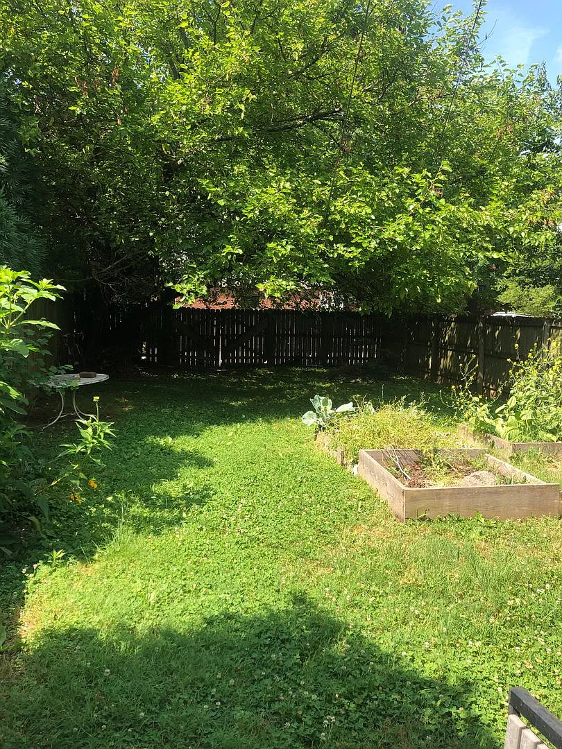 3233 W. Grace Street — Photo 4
