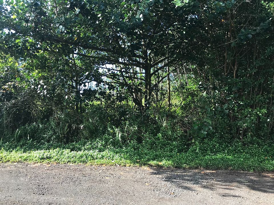 1st image of 13th Ave