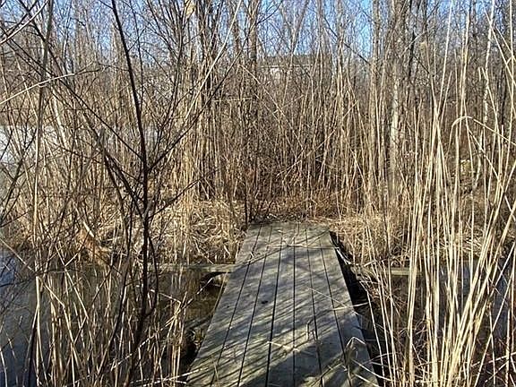 3rd image of 8097 Brook Hollow Rd