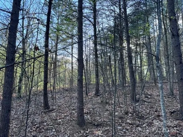 High Trail Dr #21B, Nebo, NC 28761