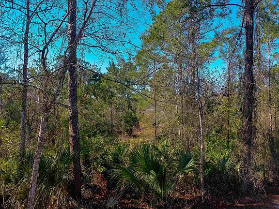 2nd image of 33150 Forest Ridge Rd