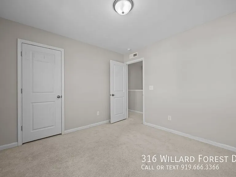 316 Willard Forest Dr — Photo 32
