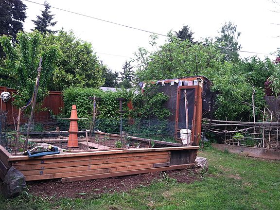 S of back yard looking N