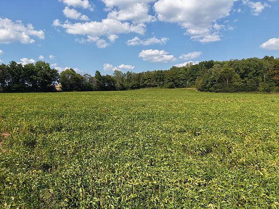 Dji Fly 20250917 153532 0449 1758153623864 Photo