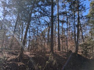 County Road 1581, Avinger, TX 75630