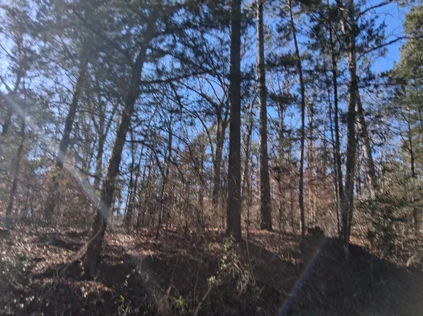 County Road 1581, Avinger, TX 75630