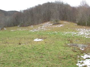 845 Shell Creek Rd, Roan Mountain, TN 37687