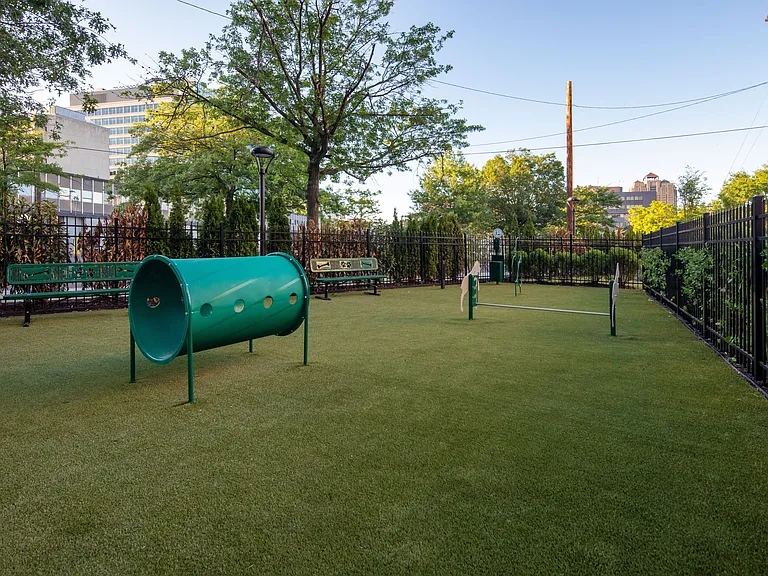 Dog Park