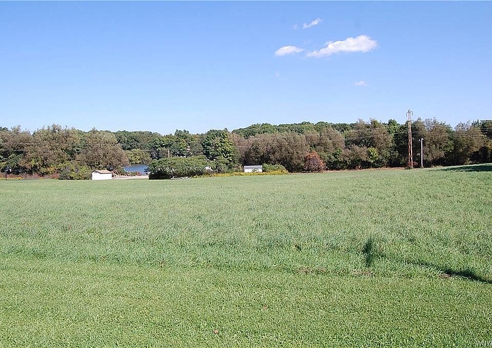 2nd image of Frisbee Rd